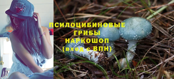 ГАЛЛЮЦИНОГЕННЫЕ ГРИБЫ Абдулино